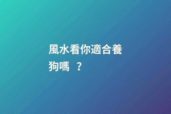 風水看你適合養狗嗎？